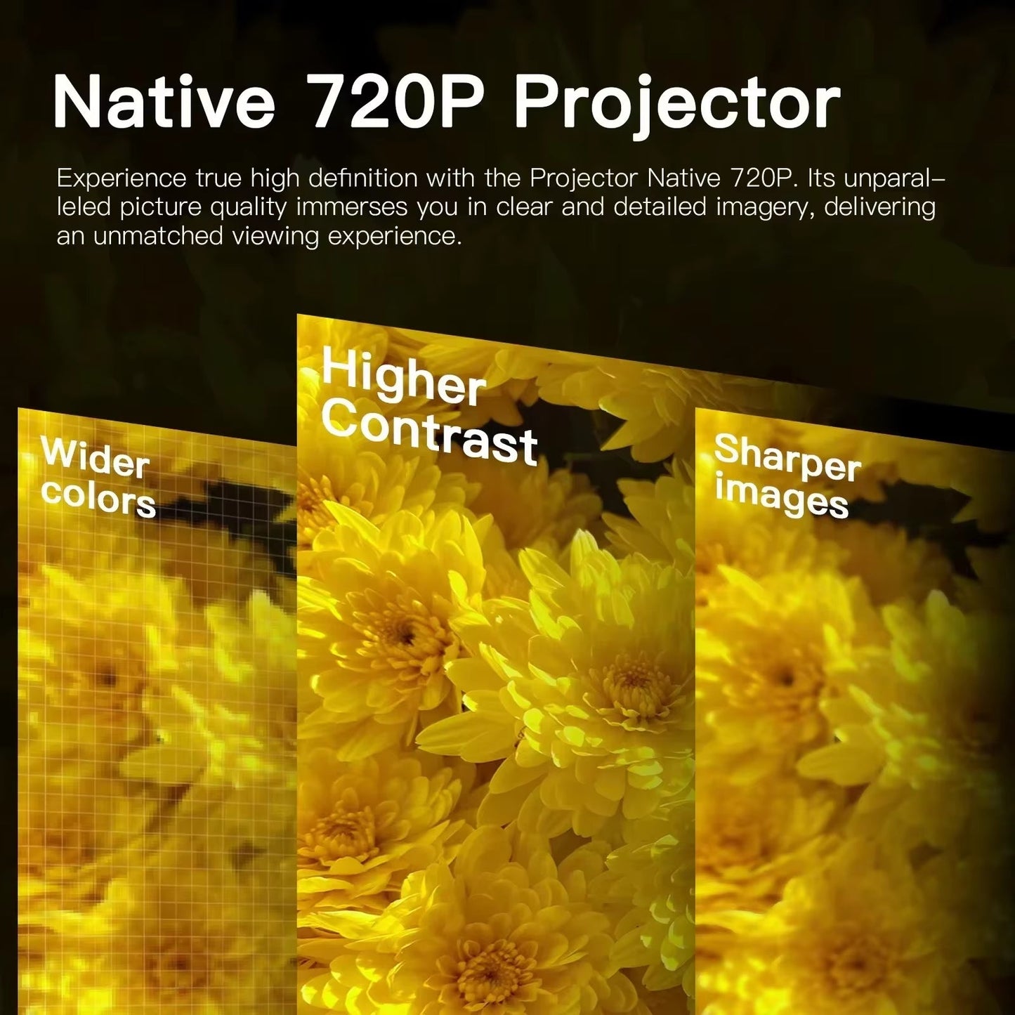 Vivid Pro GameProjector